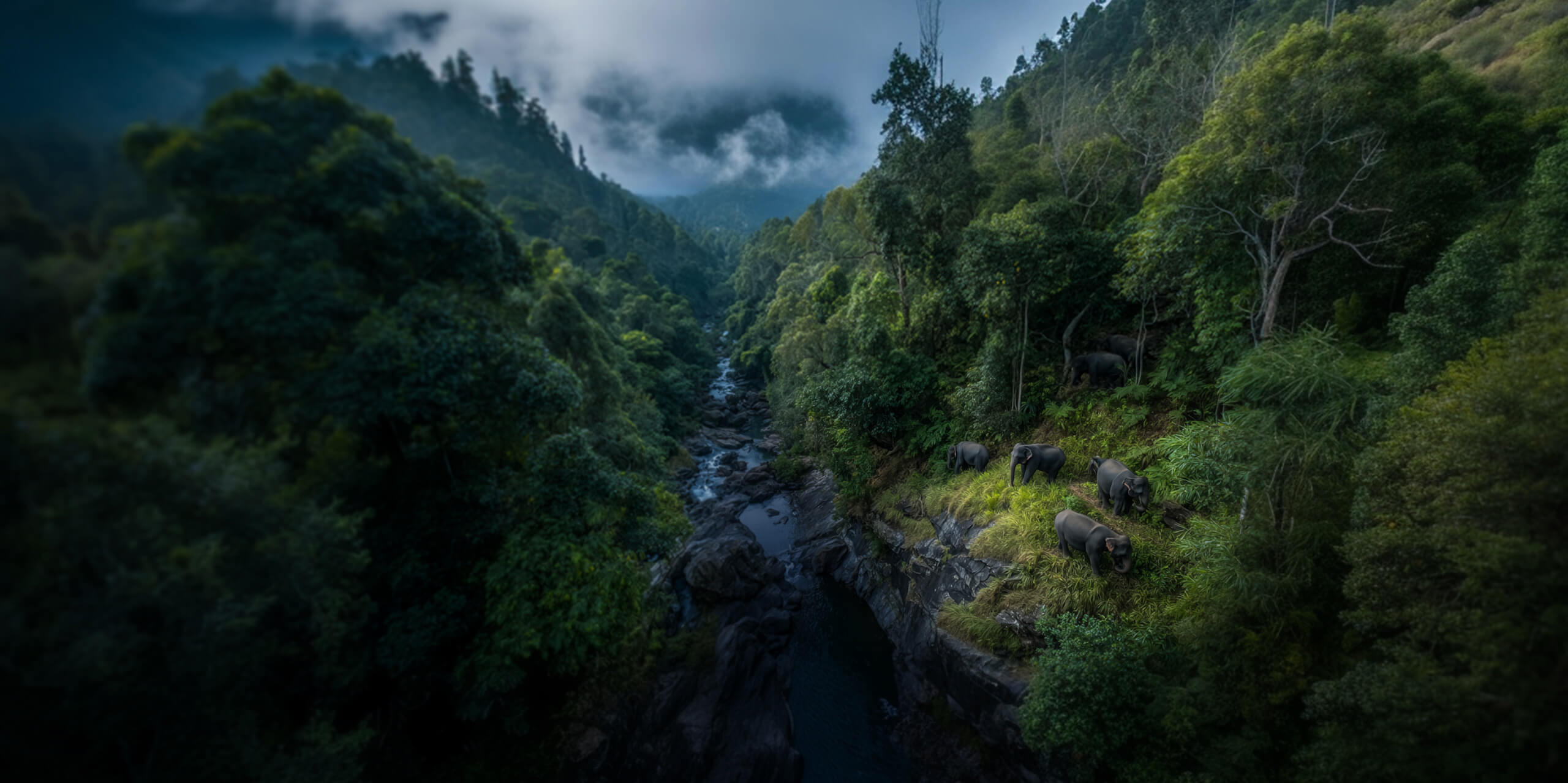 户外运动解决方案